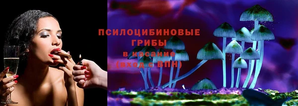 mdpv Медвежьегорск
