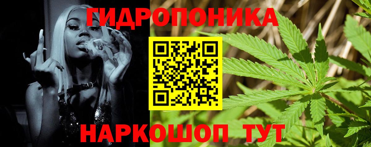 Новоалександровск  Канабис AK-47  Вход с VPN  Конопля ГИДРОПОН  Бошки Шишки марихуана  Конопля индика 